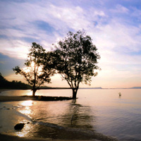 网站攻击工具手机版